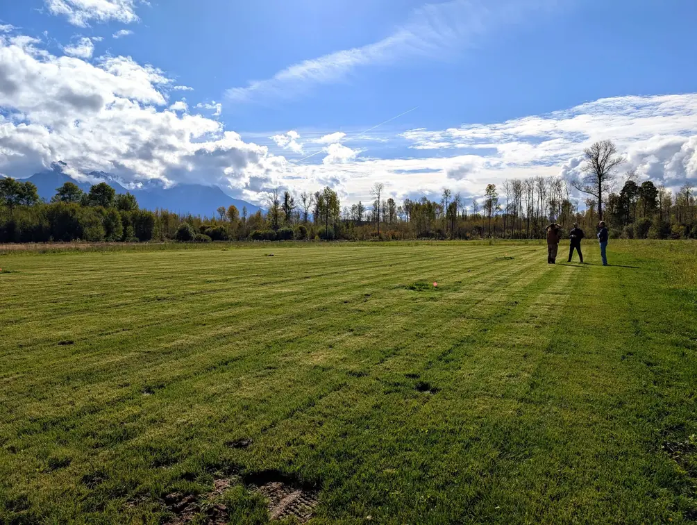 A wide new lawn with mountains and evening cloud behind