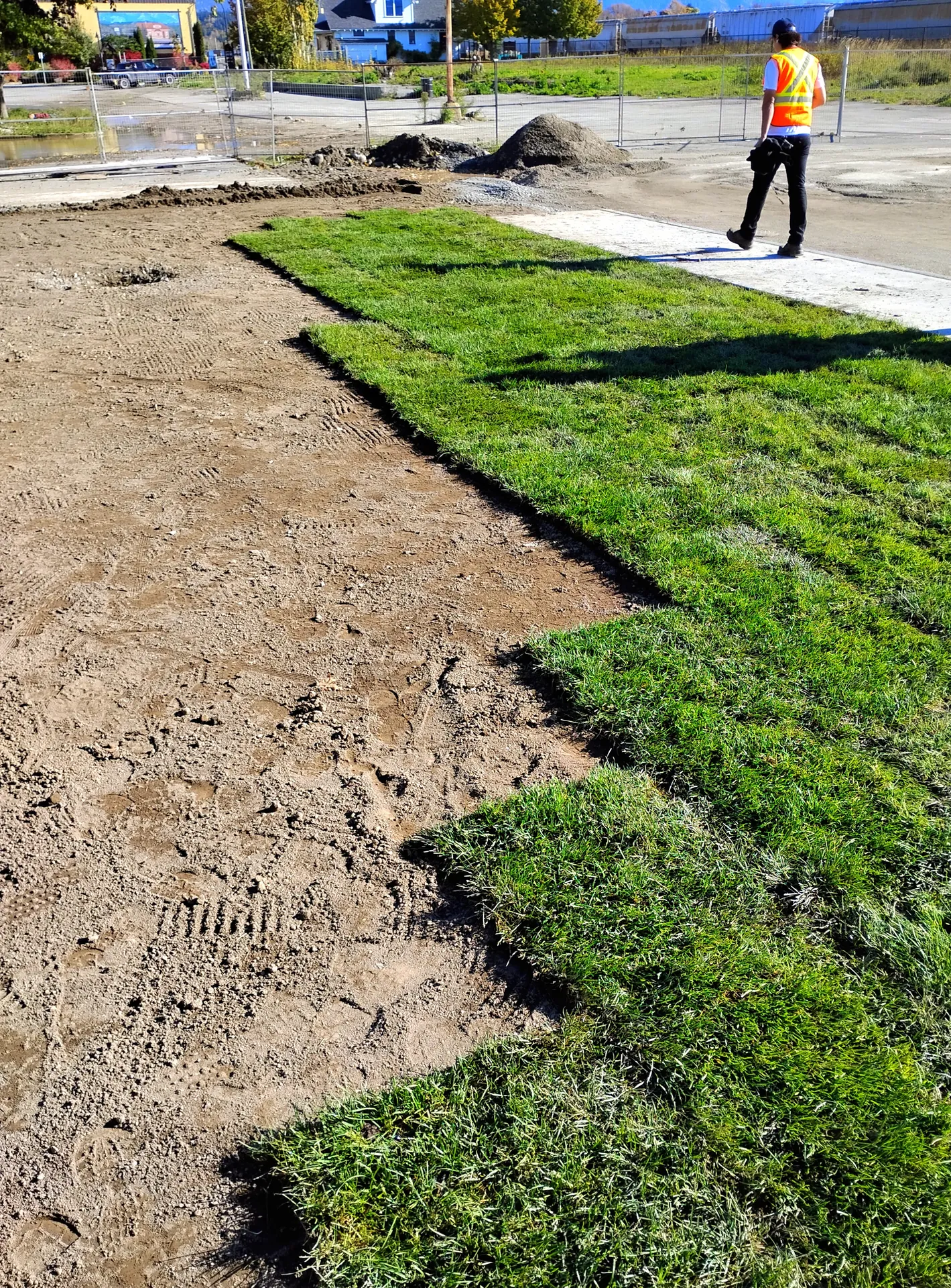 Sod rolls being laid across the prepared ground
