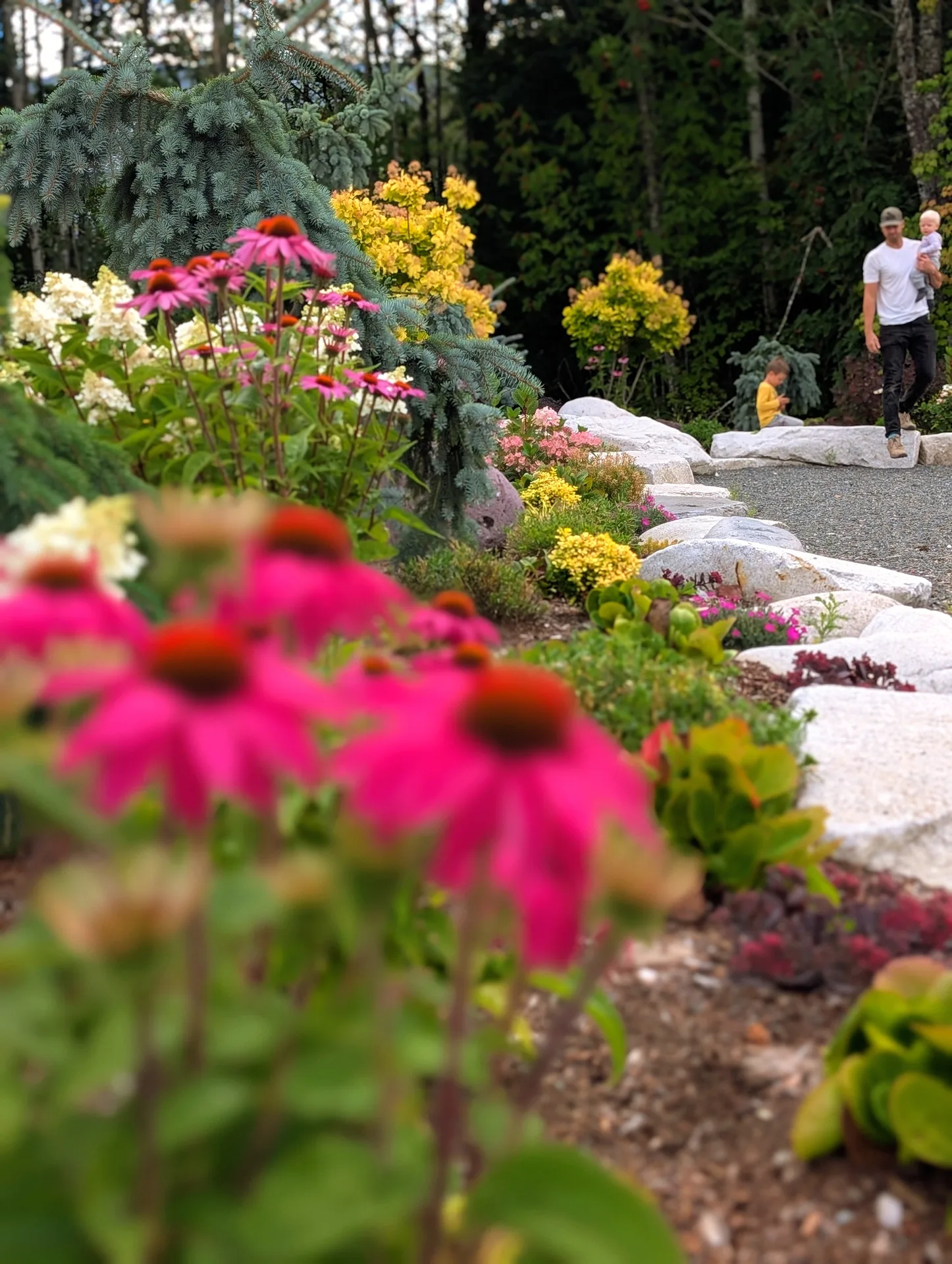 Bright pink echinacea flowers in the foreground of the entrance beds