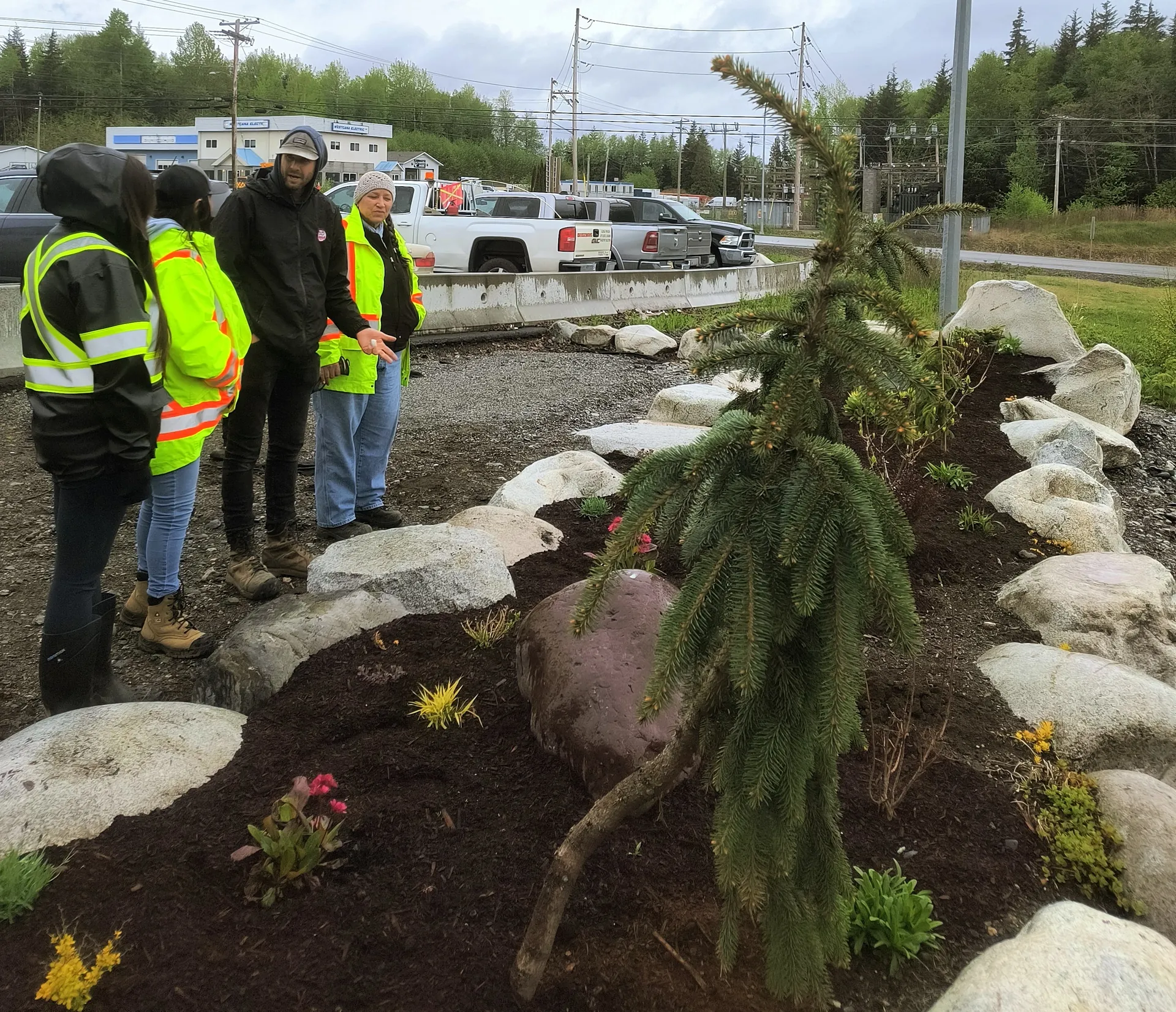 A newly planted bed with a weeping spruce under a street light by the highway