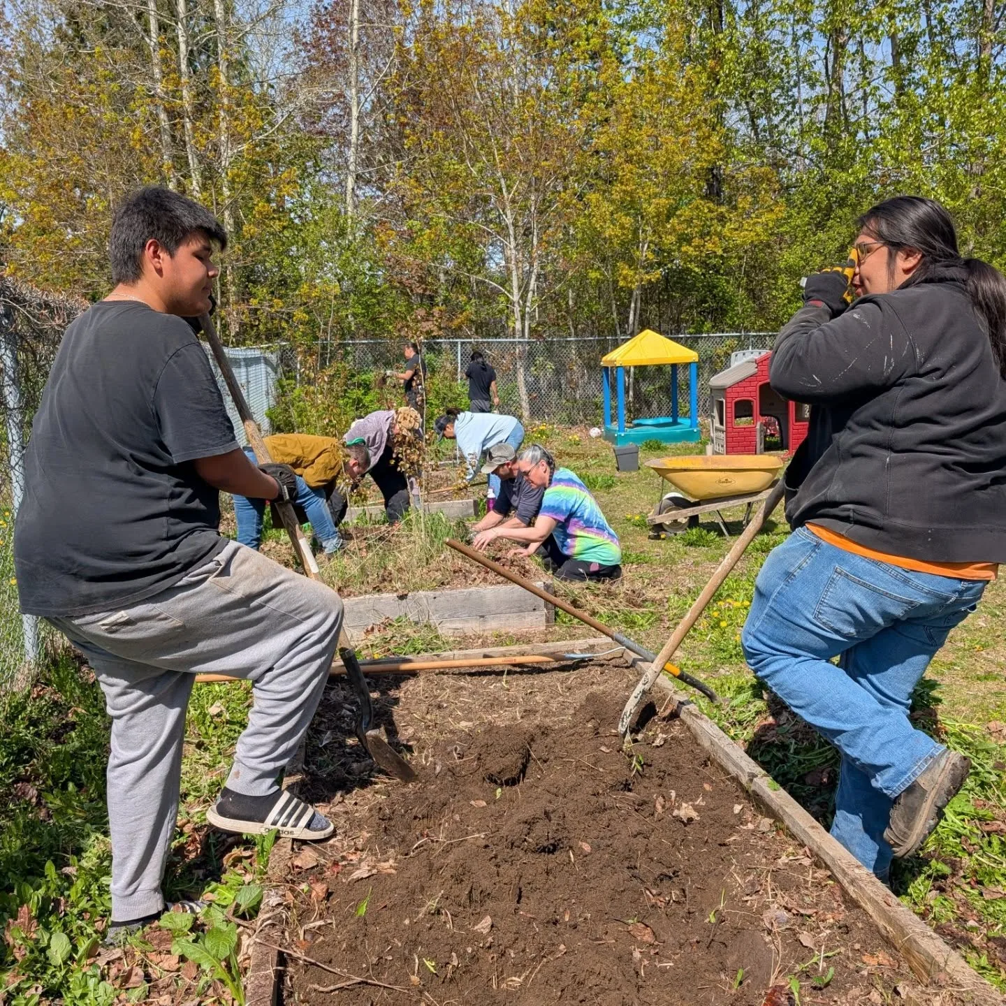 Two students turning the soil in a wooden raised bed