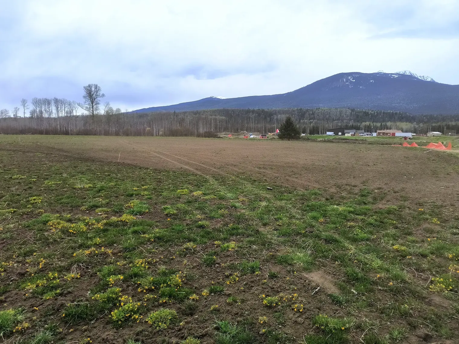 A bare, patchy field with a mountain behind before grading