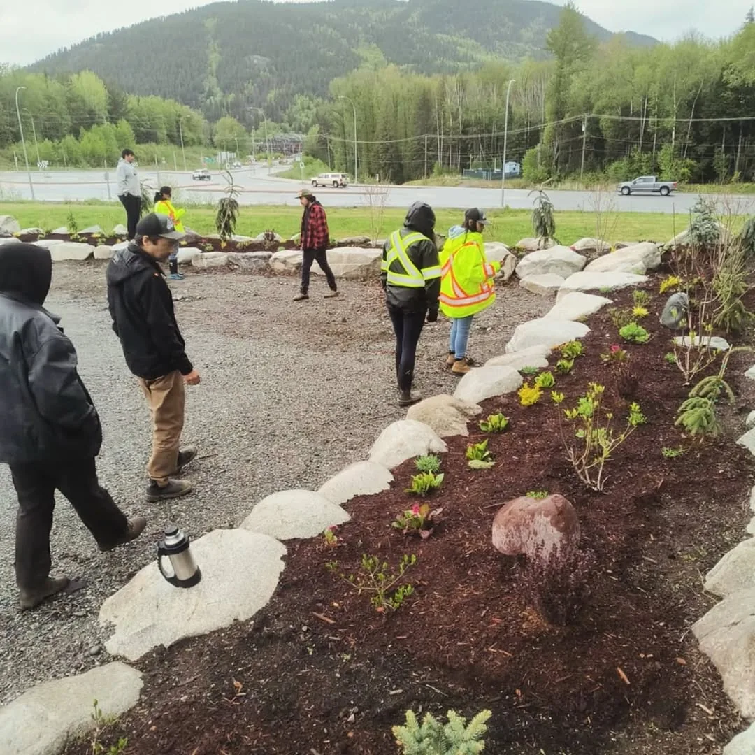 A boulder-edged bed planted with conifers and perennials beside the road