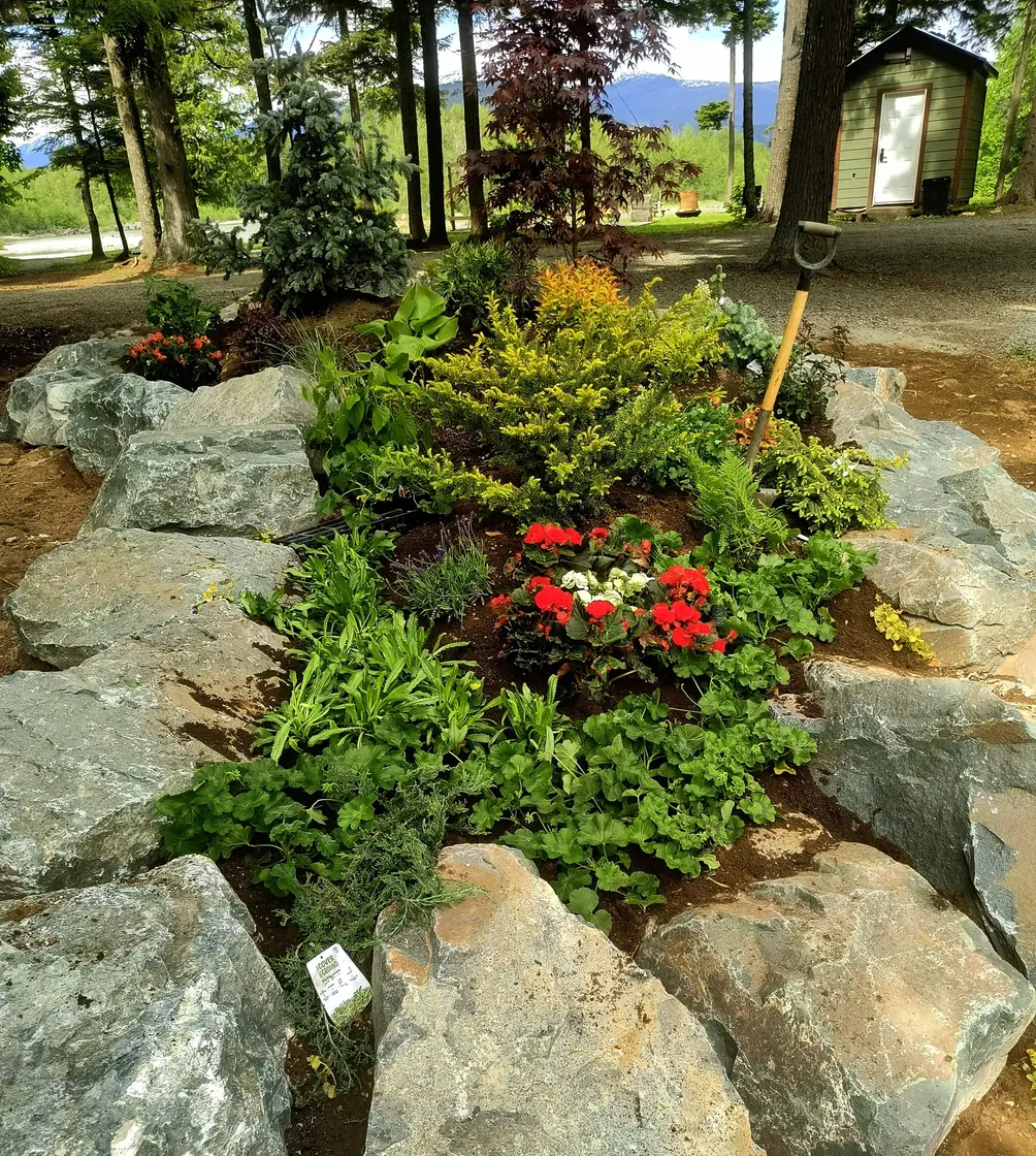 A finished boulder bed planted with conifers and flowers