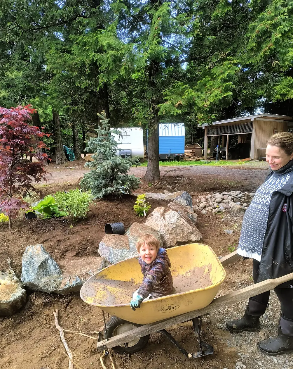 A child sitting in a wheelbarrow beside the partly planted rockery