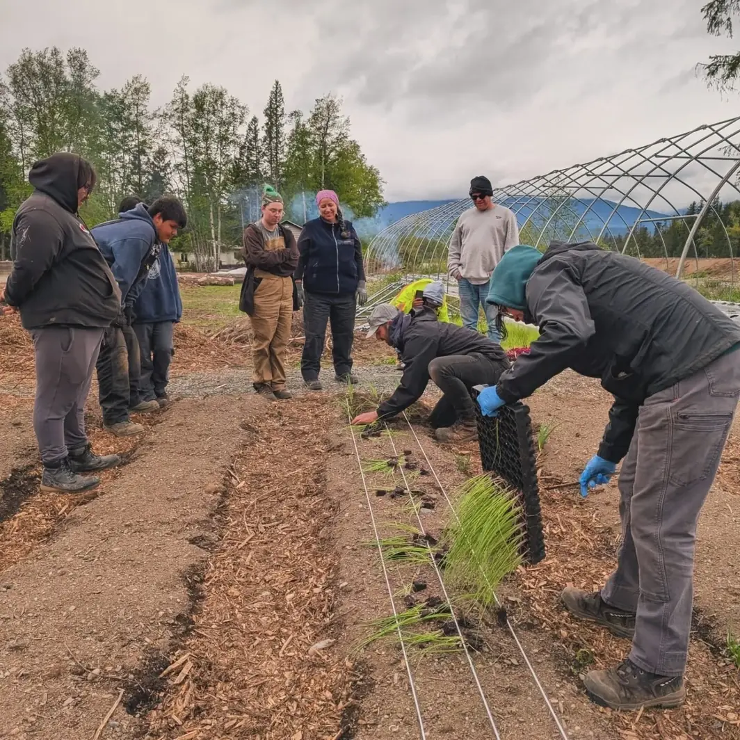 A group of students gathered around a planting demonstration in the crop rows