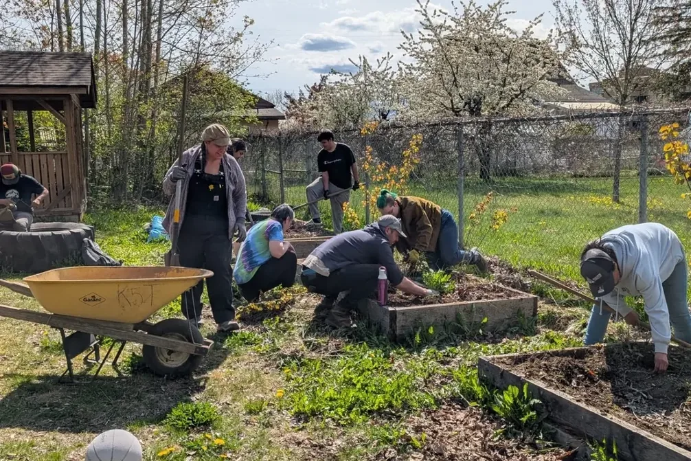 A crew rebuilding raised garden beds at the Kermode Friendship Society