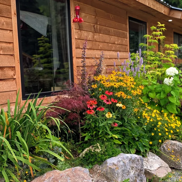 A planted bed against the cedar building at the Kulspai Learning Village