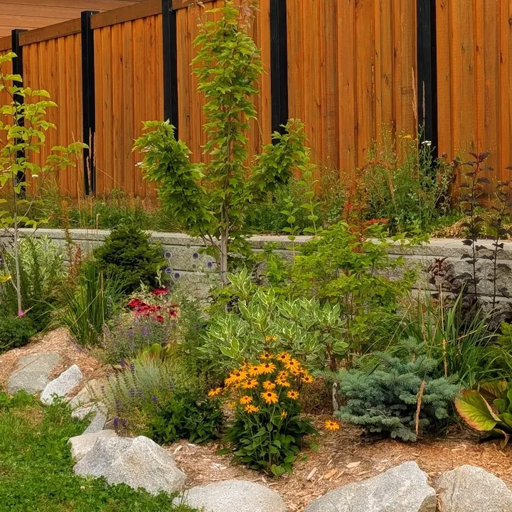A planted terraced bed along a new cedar fence
